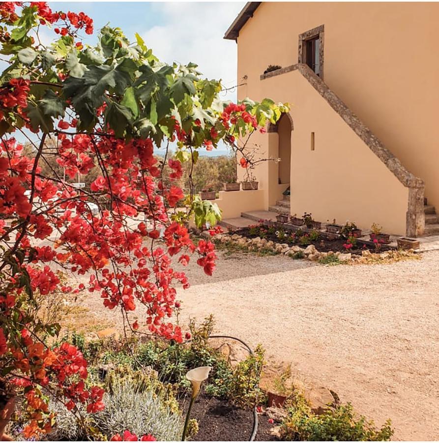 Agriturismo Morani Santa Severa Eksteriør bilde